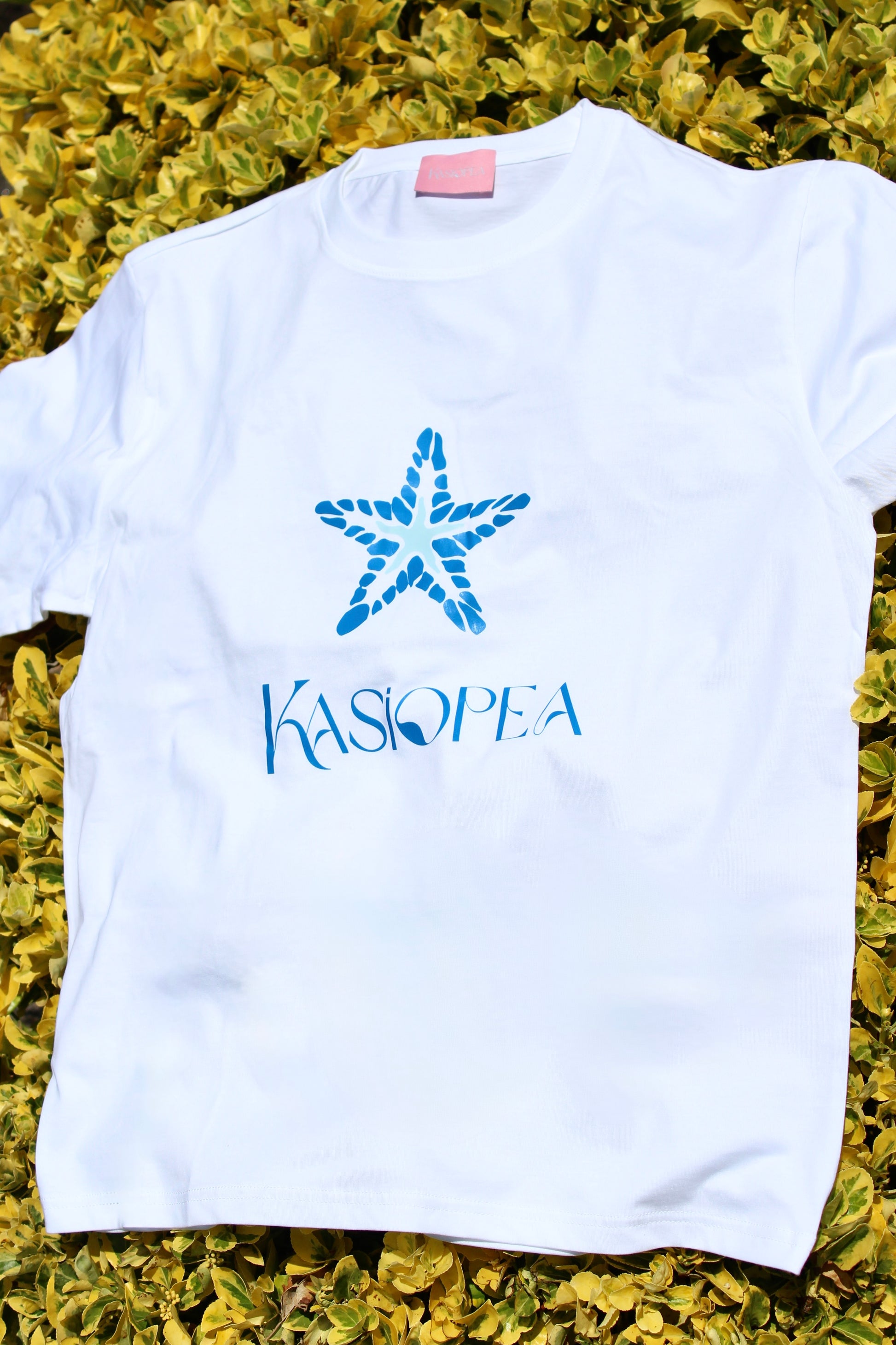 Kasiopea Estrella Azul