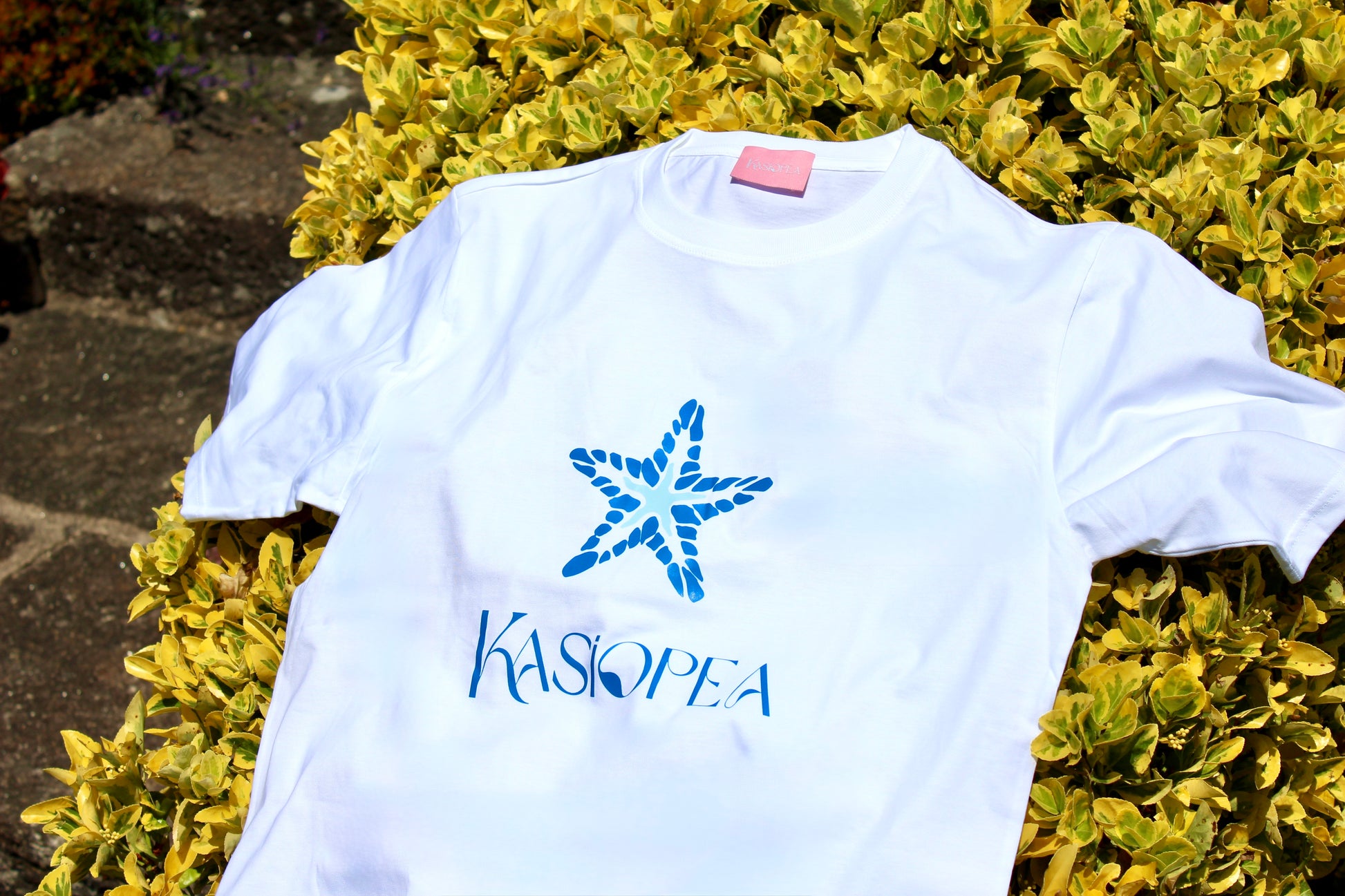 Kasiopea Estrella Azul