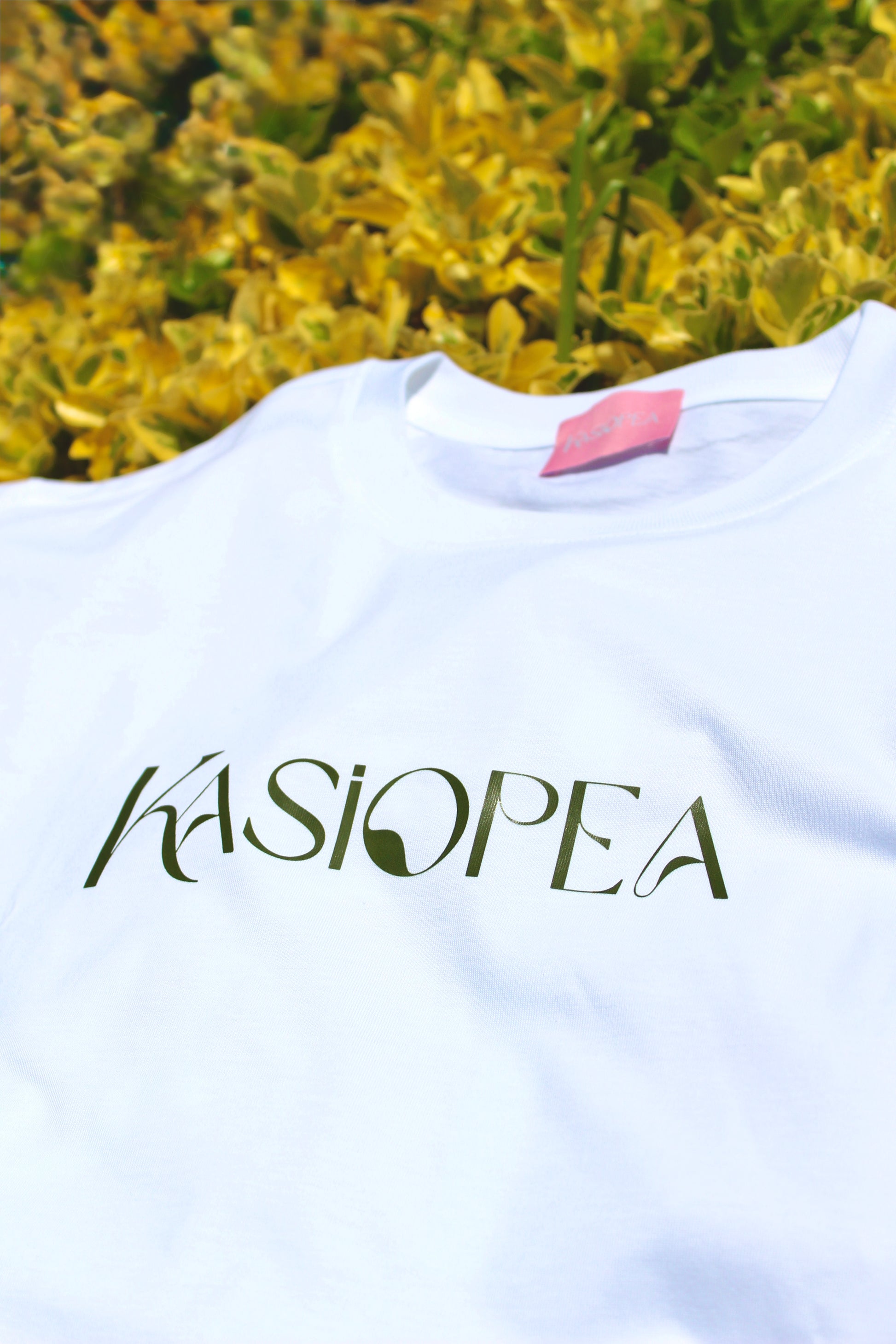 Kasiopea KA verde