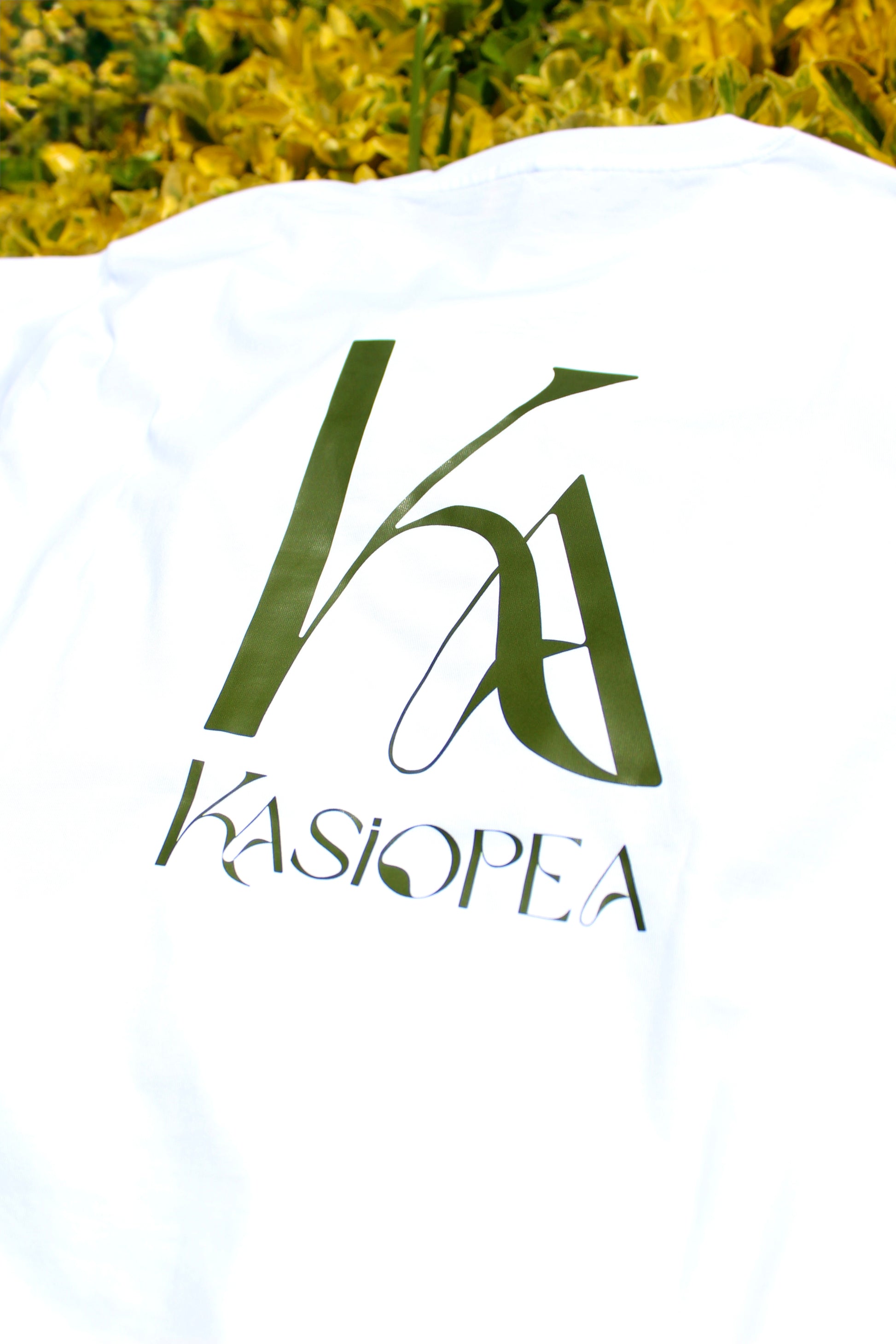 Kasiopea KA verde