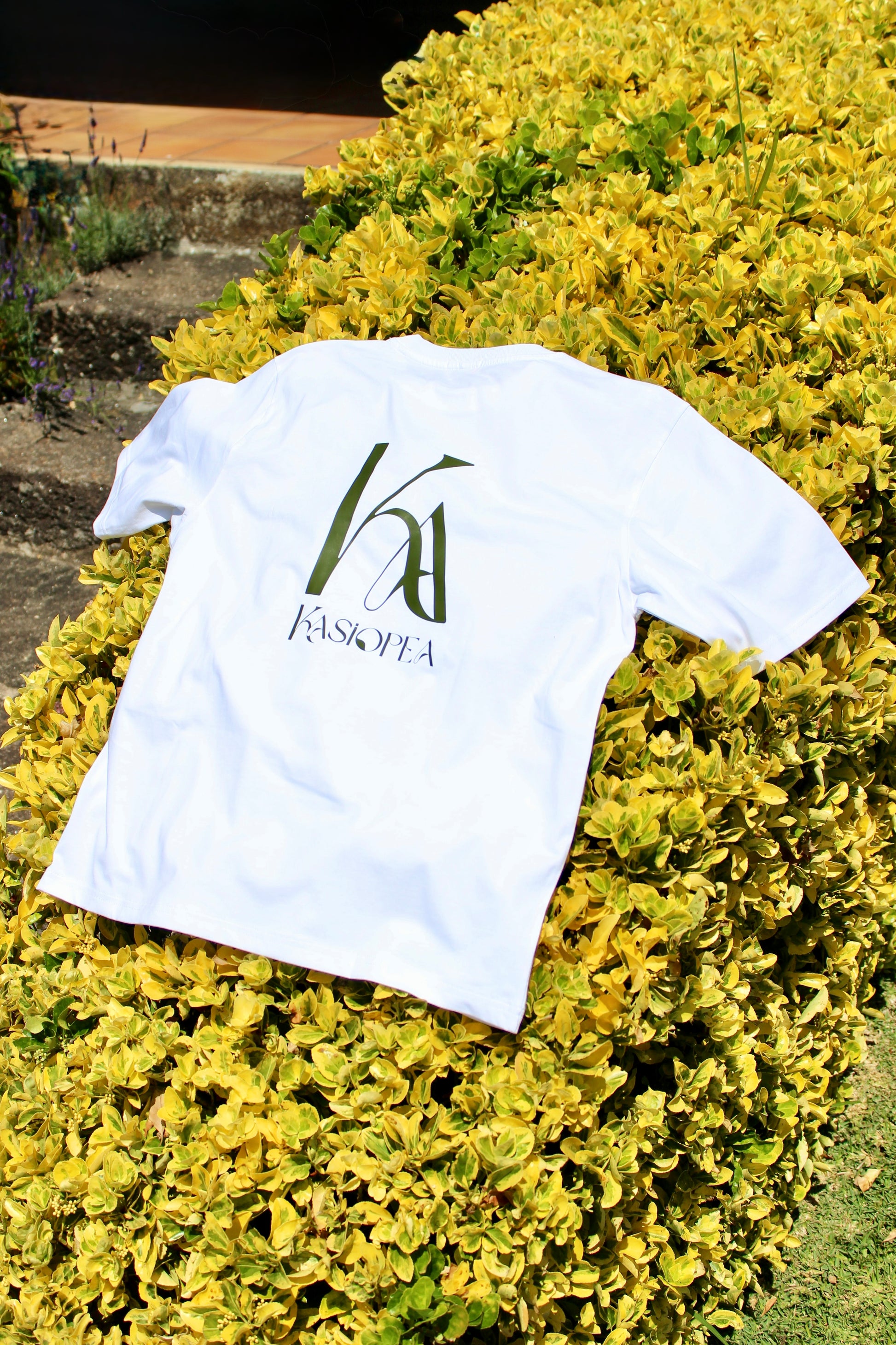 Kasiopea KA verde